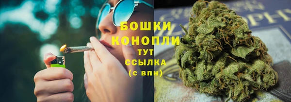 каннабис Белокуриха