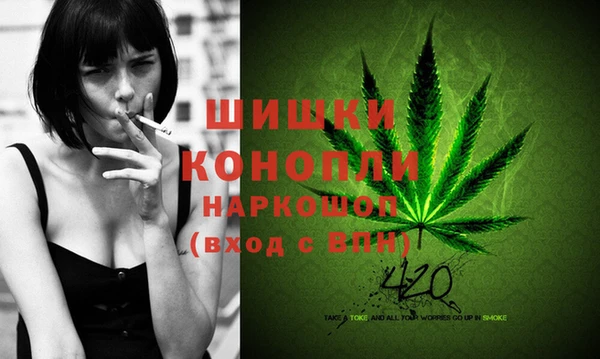 каннабис Белокуриха