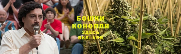 каннабис Белокуриха