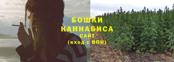 каннабис Белокуриха