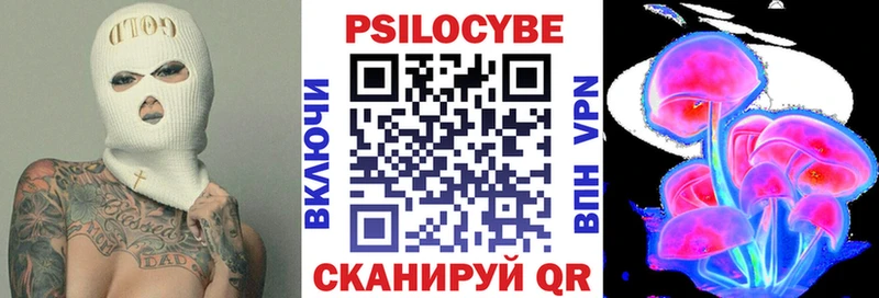 Галлюциногенные грибы Psilocybe  Семикаракорск 